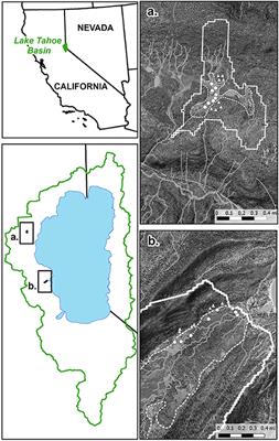 Soil Phosphorus Speciation and Availability in Meadows and Forests in Alpine Lake Watersheds With Different Parent Materials